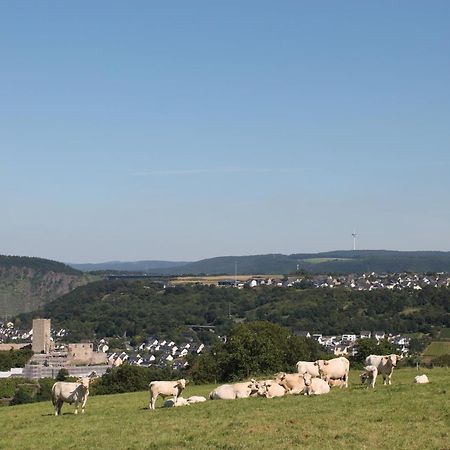 Ferienwohnung Auf Der Moselhoehe - Naehe Koblenz Und Cochem Dieblich Eksteriør bilde