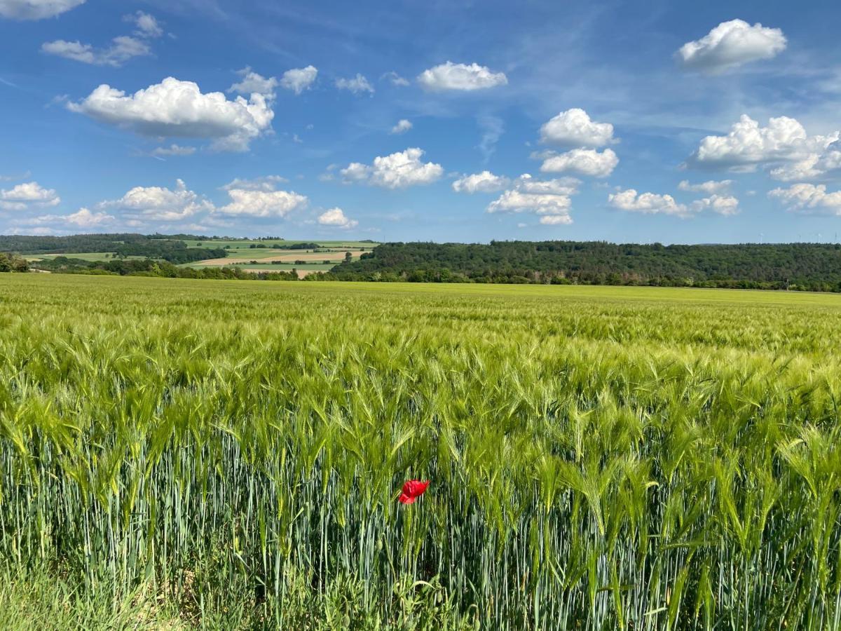 Ferienwohnung Auf Der Moselhoehe - Naehe Koblenz Und Cochem Dieblich Eksteriør bilde