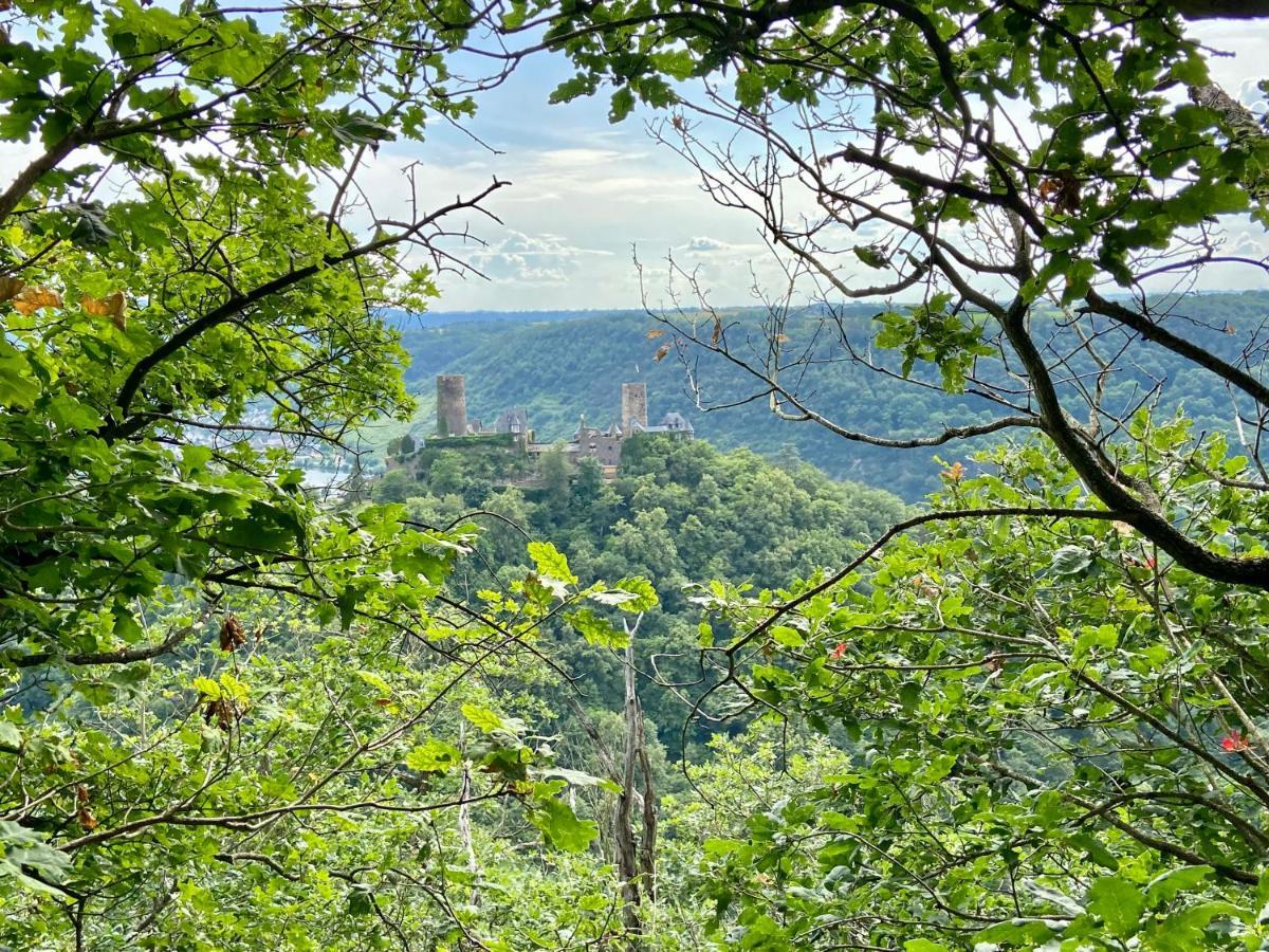 Ferienwohnung Auf Der Moselhoehe - Naehe Koblenz Und Cochem Dieblich Eksteriør bilde