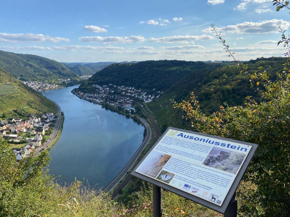Ferienwohnung Auf Der Moselhoehe - Naehe Koblenz Und Cochem Dieblich Eksteriør bilde