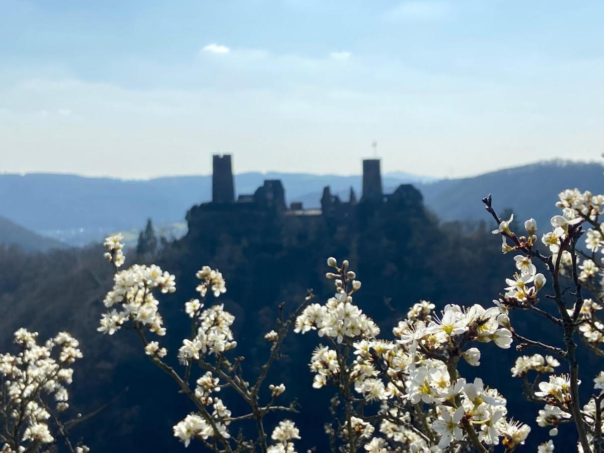 Ferienwohnung Auf Der Moselhoehe - Naehe Koblenz Und Cochem Dieblich Eksteriør bilde