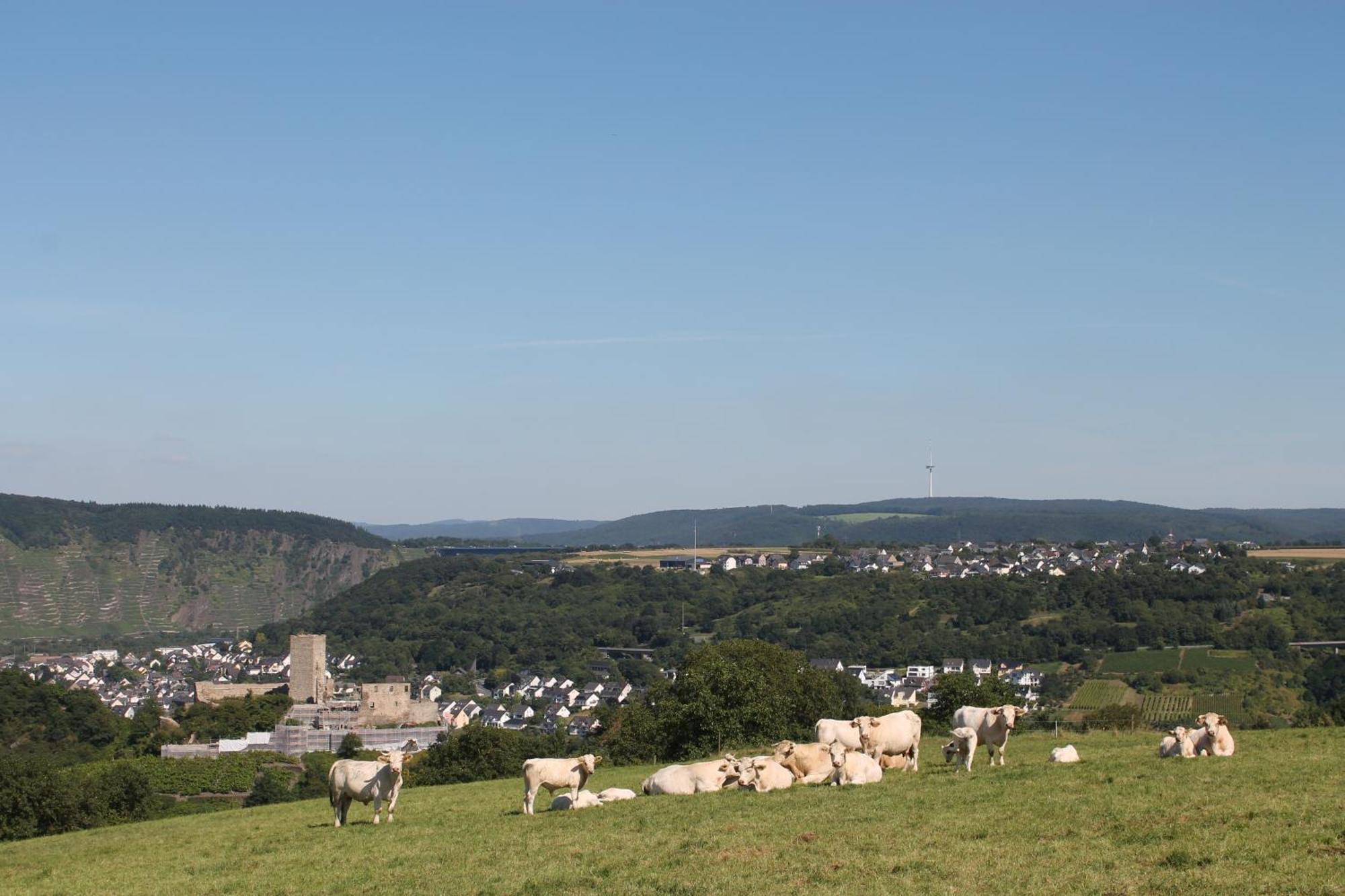 Ferienwohnung Auf Der Moselhoehe - Naehe Koblenz Und Cochem Dieblich Eksteriør bilde