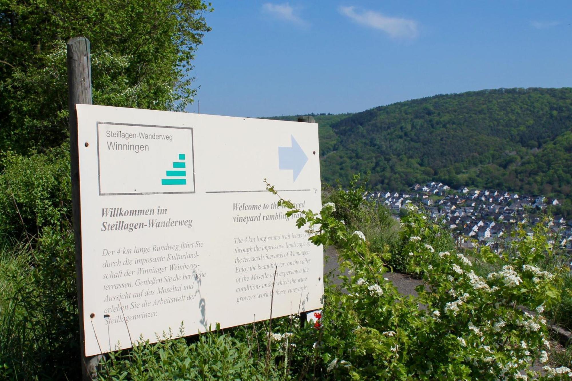 Ferienwohnung Auf Der Moselhoehe - Naehe Koblenz Und Cochem Dieblich Eksteriør bilde