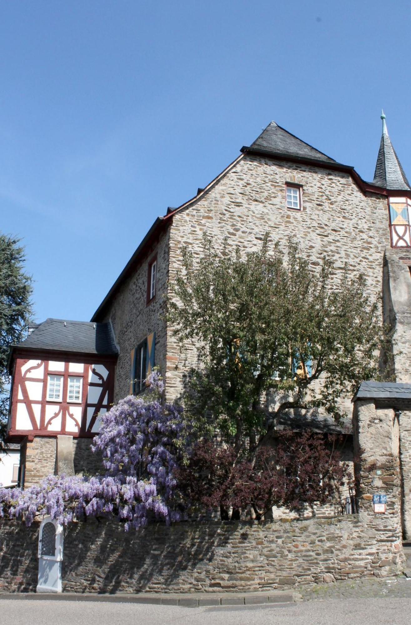 Ferienwohnung Auf Der Moselhoehe - Naehe Koblenz Und Cochem Dieblich Eksteriør bilde