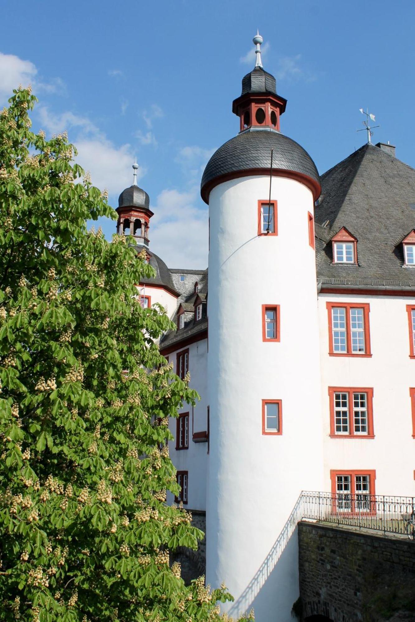 Ferienwohnung Auf Der Moselhoehe - Naehe Koblenz Und Cochem Dieblich Eksteriør bilde