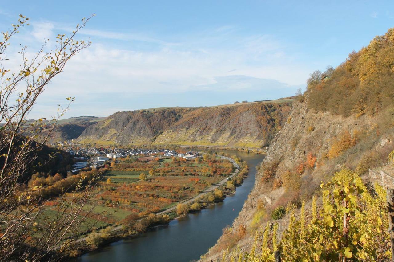Ferienwohnung Auf Der Moselhoehe - Naehe Koblenz Und Cochem Dieblich Eksteriør bilde