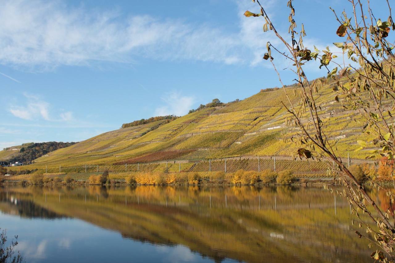 Ferienwohnung Auf Der Moselhoehe - Naehe Koblenz Und Cochem Dieblich Eksteriør bilde
