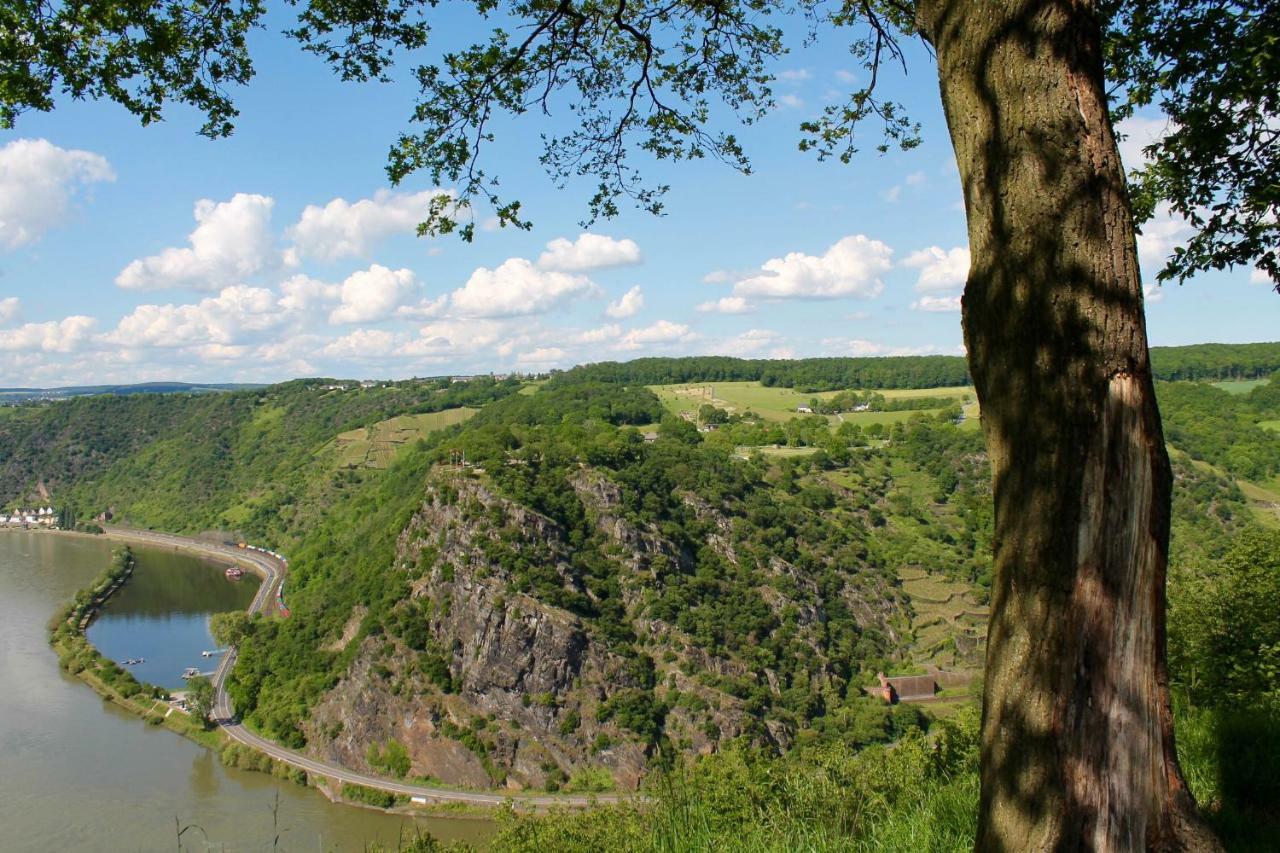 Ferienwohnung Auf Der Moselhoehe - Naehe Koblenz Und Cochem Dieblich Eksteriør bilde